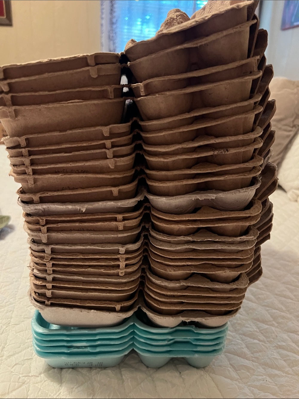 Egg cartons.  Excellent used condition. Large collection